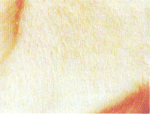 Retratos